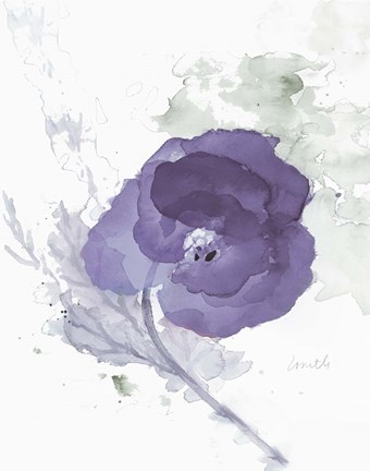 Framed Translucent Mauve Poppy II Print