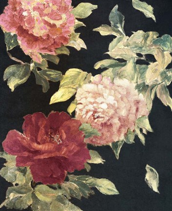 Framed Beauty of the Dark Blossom Print