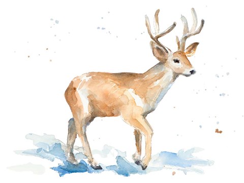 Framed Watercolor Deer Print