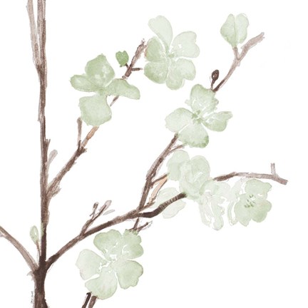 Framed Mint Bloom Stems Print