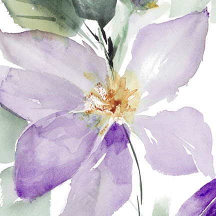 Framed Clematis in Purple Shades I Print