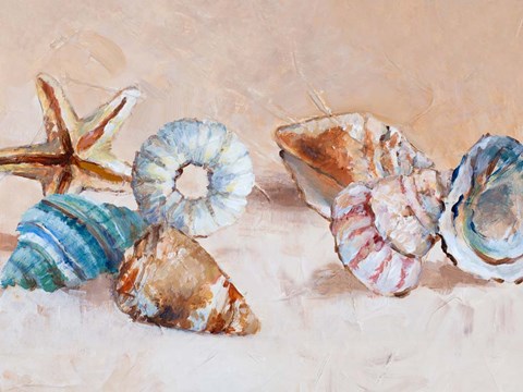Framed Shells on the Shore Rectangle Print