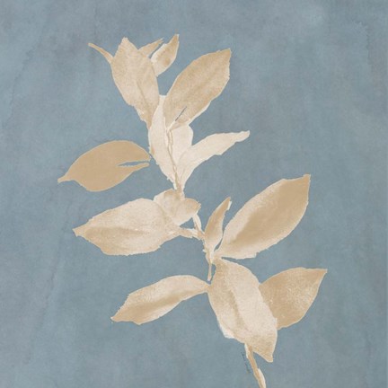 Framed Tan Leaf on Blue Square I Print
