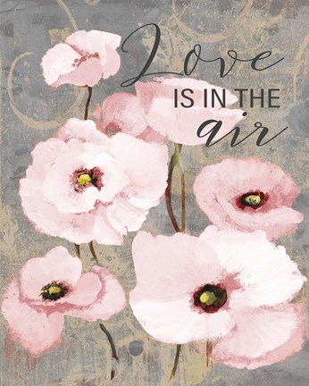 Framed Kindle's Blush Poppies I Print