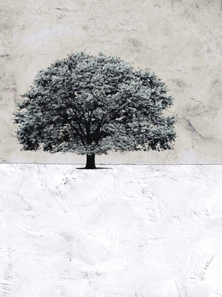 Framed Old Black Tree Print