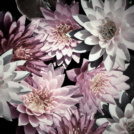 Framed Plum Florals Print