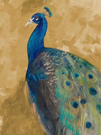 Framed Royal Plume on Gold Print