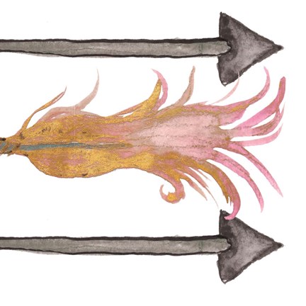 Framed Feathers And Arrows I Print