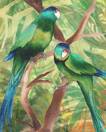 Framed Tropical Birds II Print