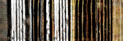 Framed Vertical Horizon II Print