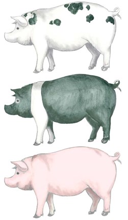 Framed Piggy Wiggy Set Print