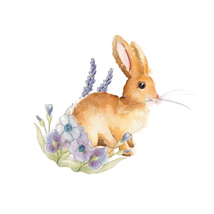Framed Spring Bunny II Print