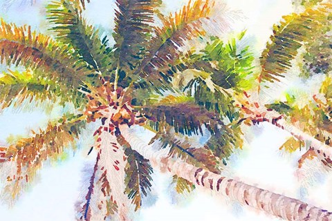 Framed Sideway Watercolor Palms II Print