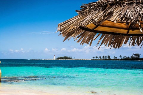 Framed Under The Shade Print