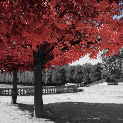 Framed Garden Walk Print