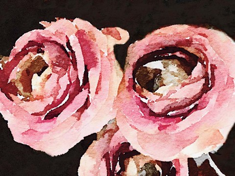Framed Dark Roses Print