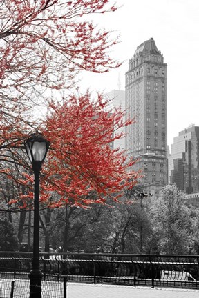 Framed Central Park with Red Tree Print