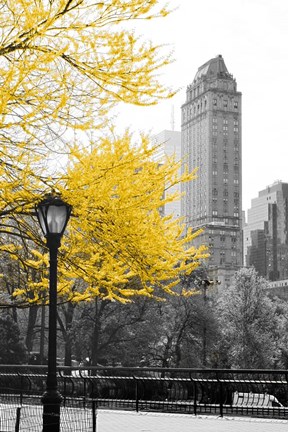 Framed Central Park with Yellow Tree Print