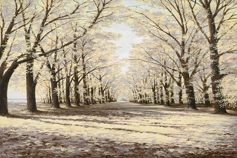 Framed Winter Cathedral Print