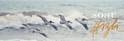 Framed Soar High Print