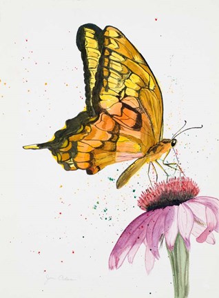 Framed Butterfly Nectar Print