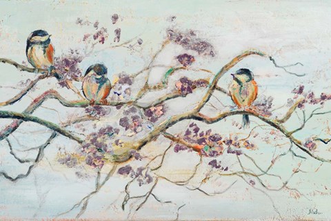 Framed Birds On Cherry Blossom Branch Print