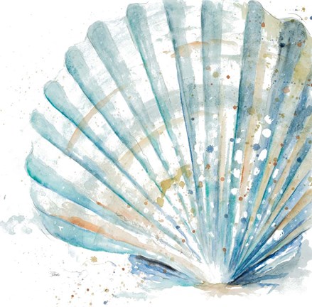 Framed Water Shell Print
