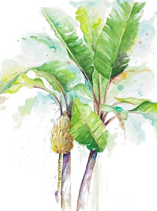 Framed Watercolor Banana Plantain Print