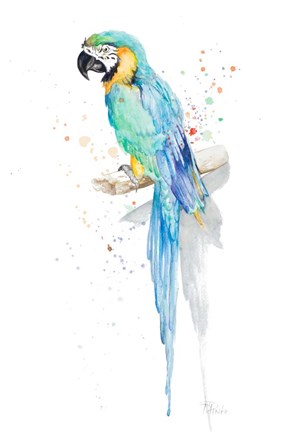 Framed Watercolor Parrot Print