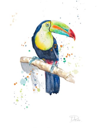 Framed Watercolor Toucan Print