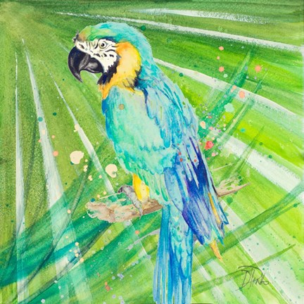 Framed Colorful Parrot Print