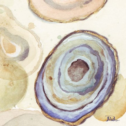 Framed Agates Flying Square II Print