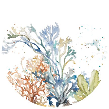 Framed Under the Sea Plants Circle Print