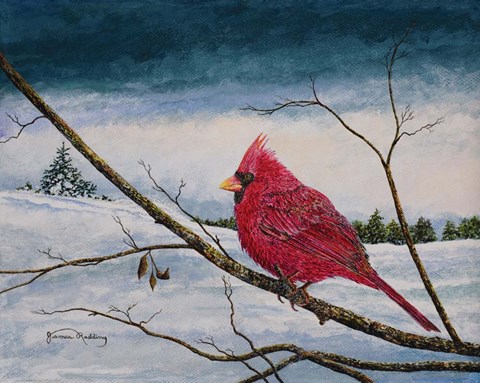 Framed Cardinal In A Pastel Sky Print