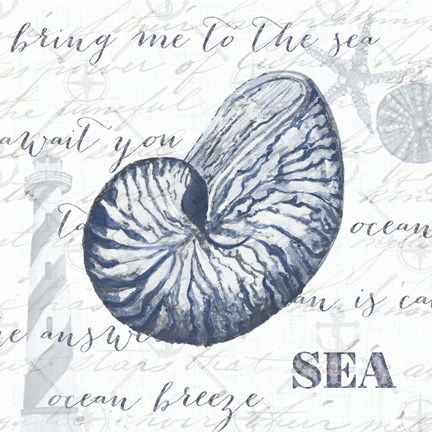 Framed Indigo Shell II Print