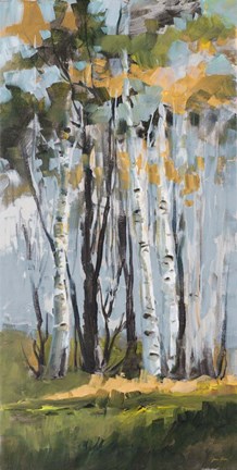 Framed Golden Birch Trees Print