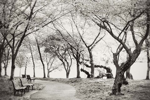 Framed Path Walk Print