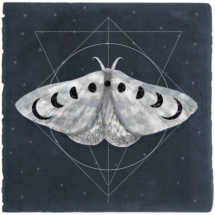Framed Midnight Moth II Print
