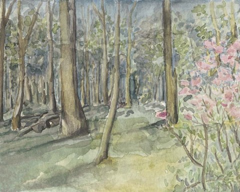 Framed Virginia Woods I Print