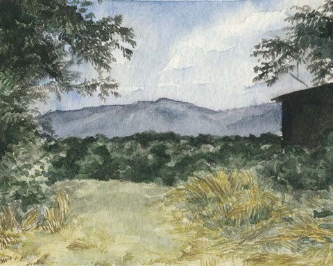 Framed Virginia Woods III Print