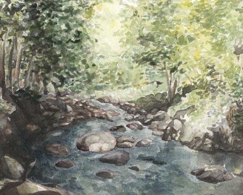 Framed Virginia Woods IV Print