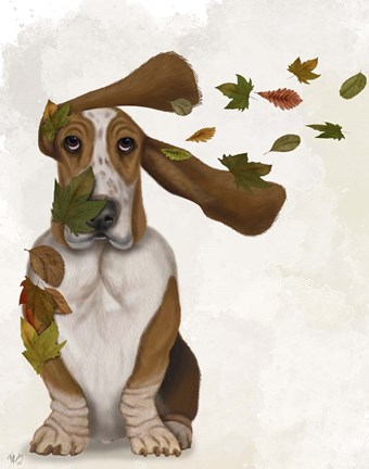 Framed Basset Hound Windswept and Interesting Print