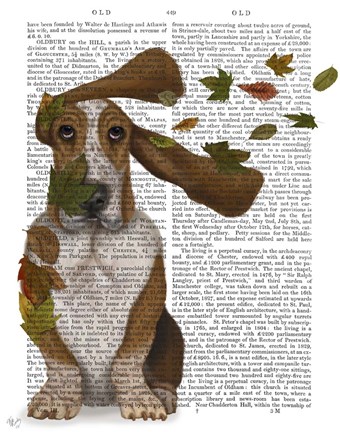 Framed Basset Hound Windswept and Interesting Print