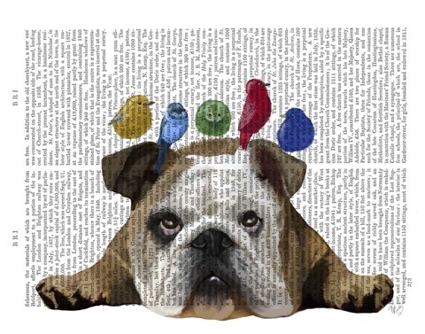 Framed English Bulldog and Birds Print