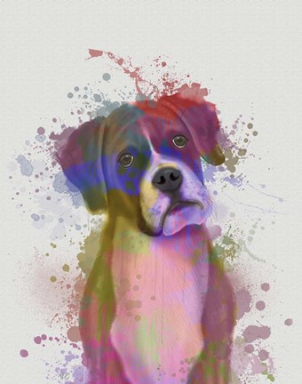 Framed Boxer 1 Portrait Rainbow Splash Print