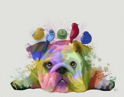 Framed English Bulldog and Birds, Rainbow Splash Print