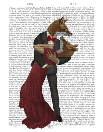 Framed Foxes Romantic Dancers Print