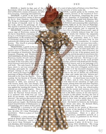 Framed Fox Lady 1930s Print