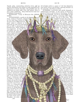 Framed Weimaraner with Tiara Print