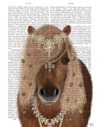 Framed Horse Brown Pony with Bells, Portrait Print